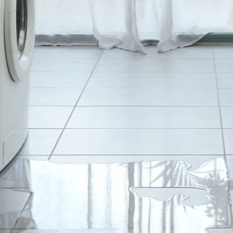 Appliance Leak Cleanup in Taylor County, FL