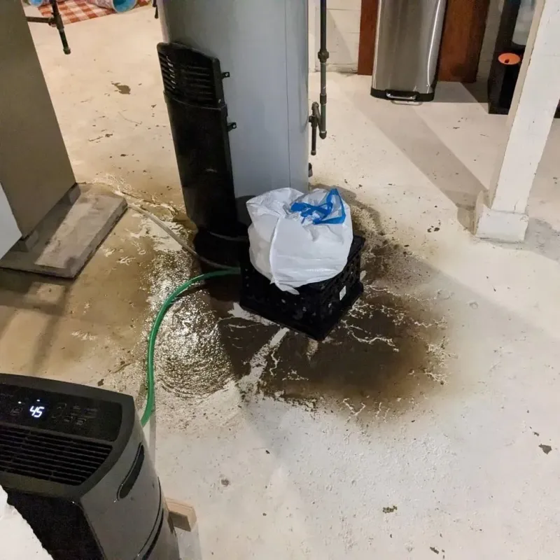 Sewage Backup Cleanup Service in Taylor County, FL